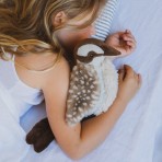 Ken the Kookaburra
